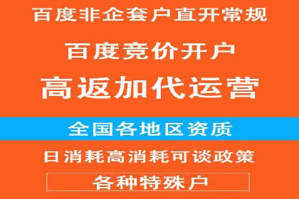 搜索引擎竞价推广：某行业领先企业的成功之路